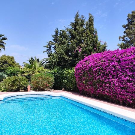 Villa With Private Pool, Bbq, Fitness Center & Sauna San Vicente Raspeig Kültér fotó