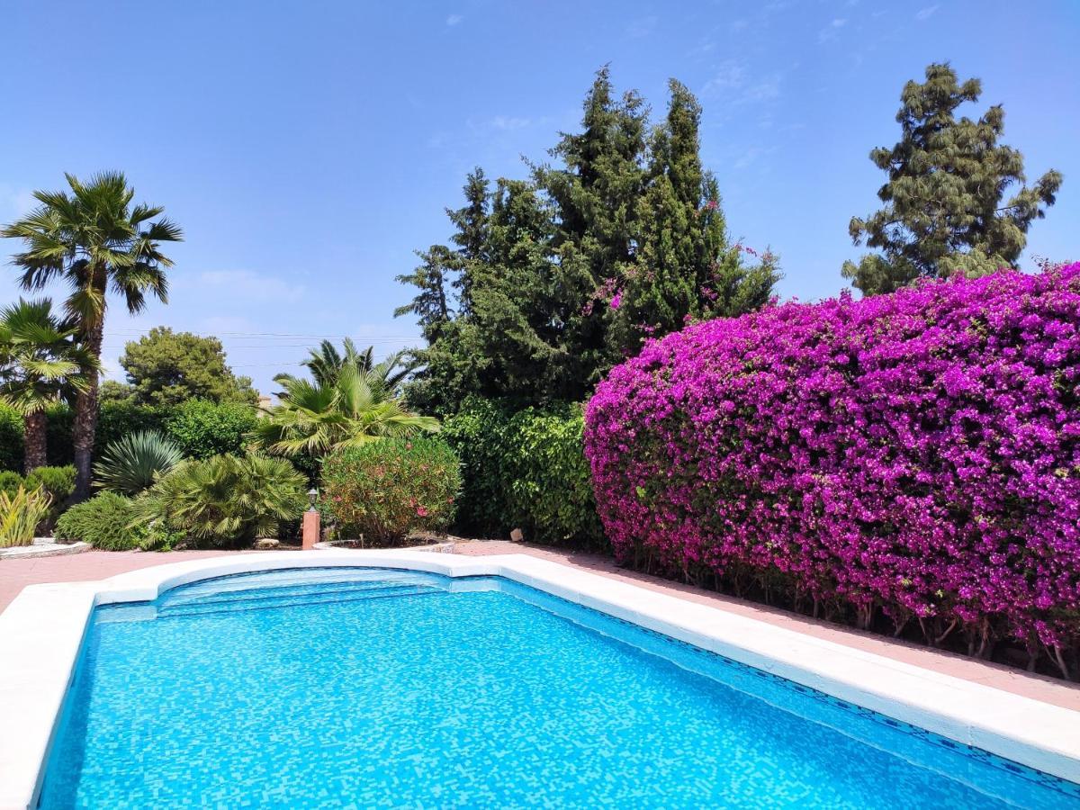 Villa With Private Pool, Bbq, Fitness Center & Sauna San Vicente Raspeig Kültér fotó