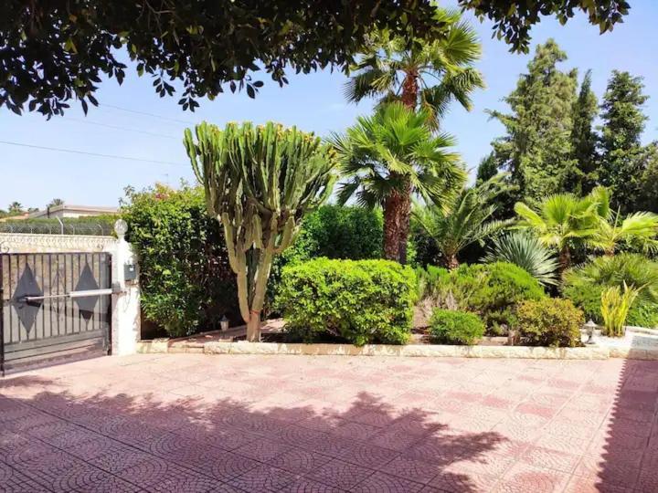 Villa With Private Pool, Bbq, Fitness Center & Sauna San Vicente Raspeig Kültér fotó